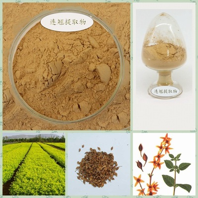 植物提取物