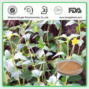 植物提取物-專(zhuān)業(yè)植提廠家,現(xiàn)貨供應(yīng)蕁麻提取物,純天然優(yōu)質(zhì)原料藥,質(zhì)優(yōu)價(jià)廉-植物提.