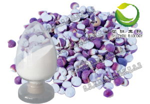 供應積雪草總苷,純天然植物提取物,優(yōu)質產品,醫(yī)藥原料