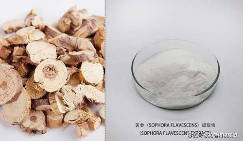 2020 最新植物提取物 化妝品原料 前沿?zé)狳c點評