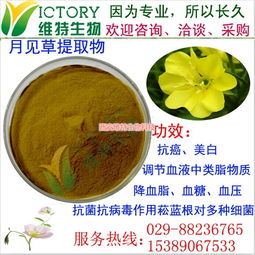 月見草提取物限時(shí)促銷，西安維特生物科技為您帶來純正植物精華